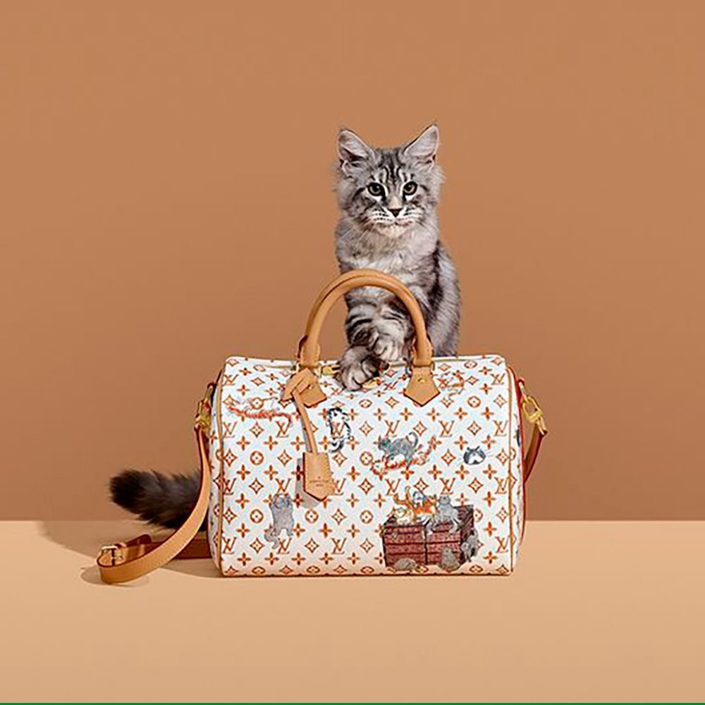 ❌EXCLUSIVE Louis Vuitton Catogram Speedy White Bag - Picture 2 of 14